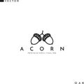 Acorn logo. Line art. Isolated branch with acorns
